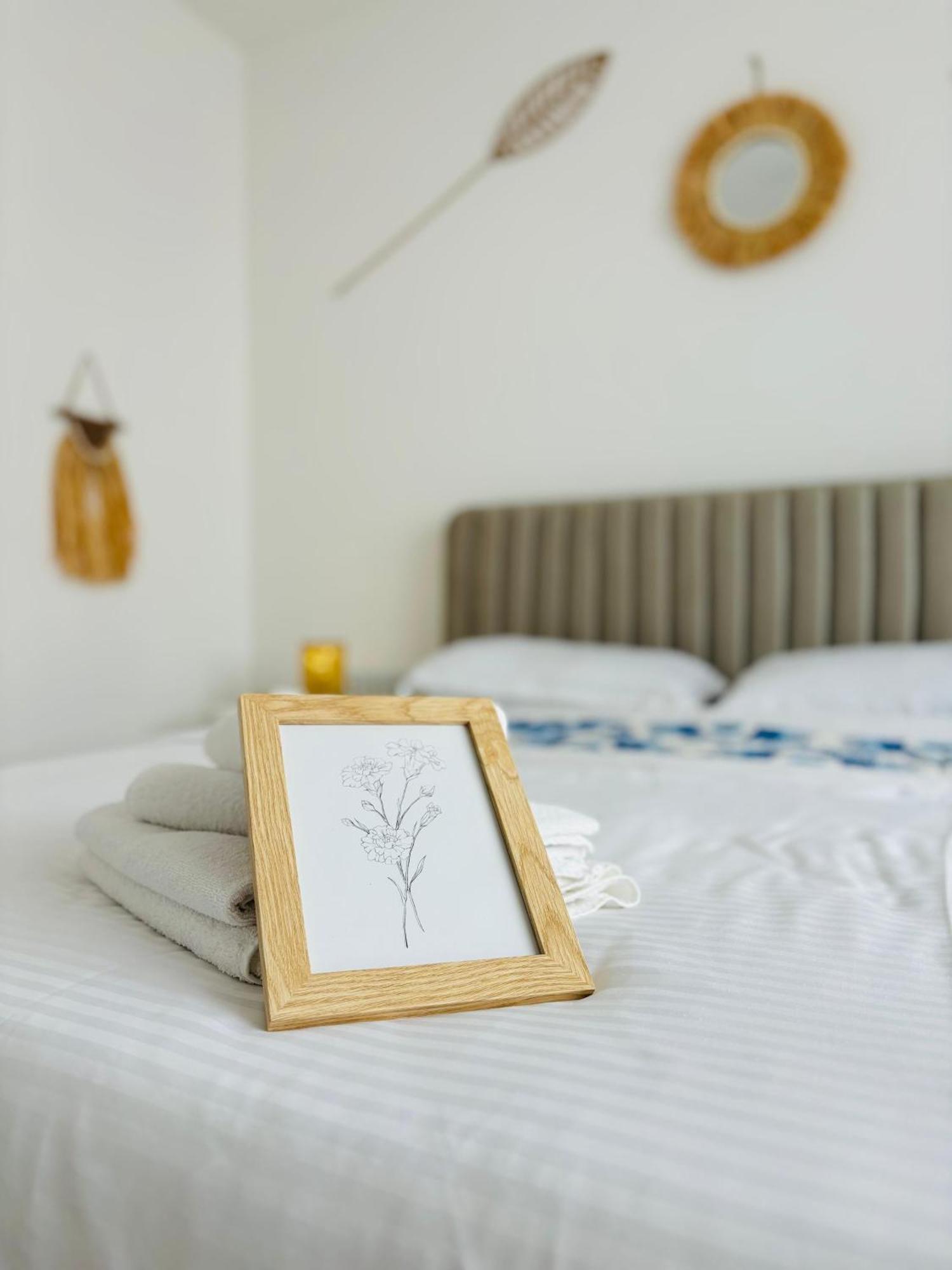 Amos Apartment-Ultracentral-Free Parking Cluj-Napoca Esterno foto
