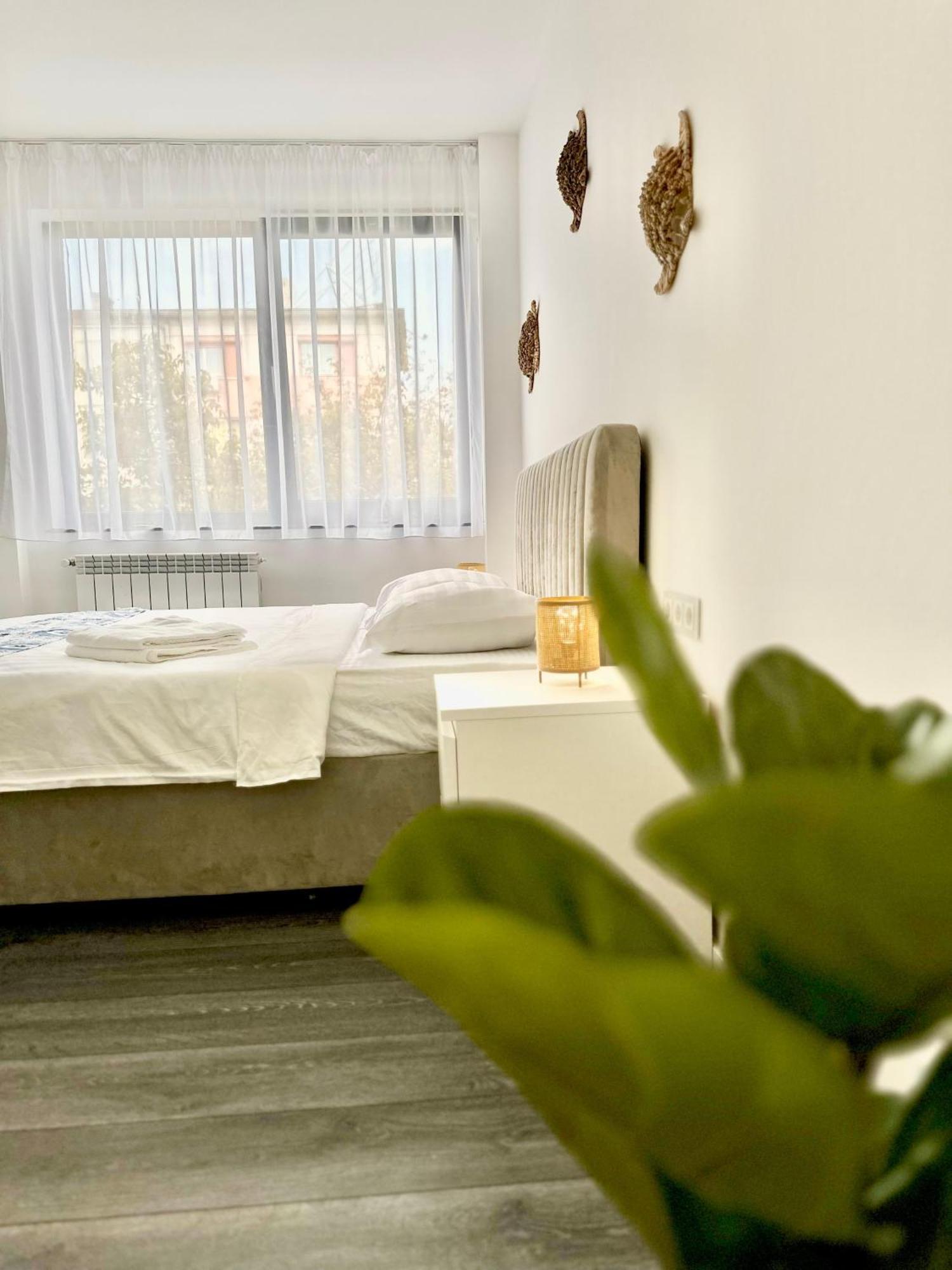 Amos Apartment-Ultracentral-Free Parking Cluj-Napoca Esterno foto