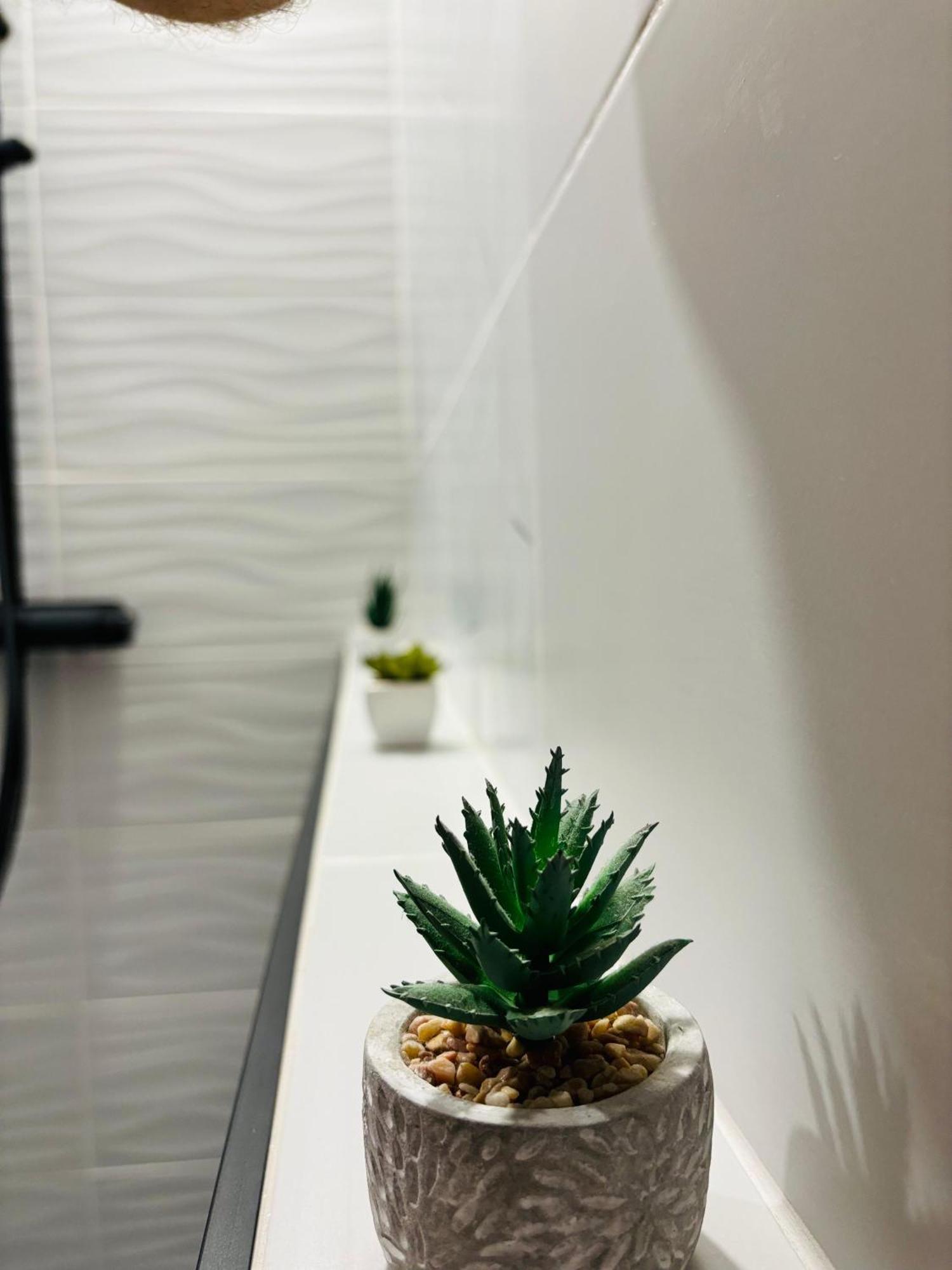 Amos Apartment-Ultracentral-Free Parking Cluj-Napoca Esterno foto